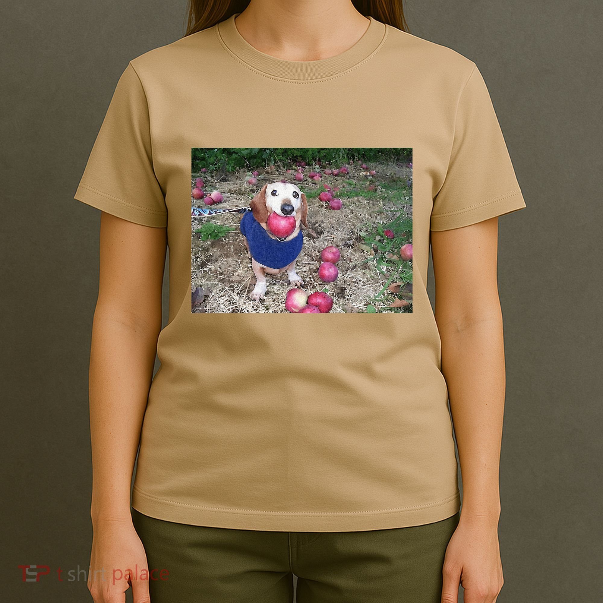 Apple Dog Meme Funny Dog With Apple In Mouth Funny Brainrot T-Shirt