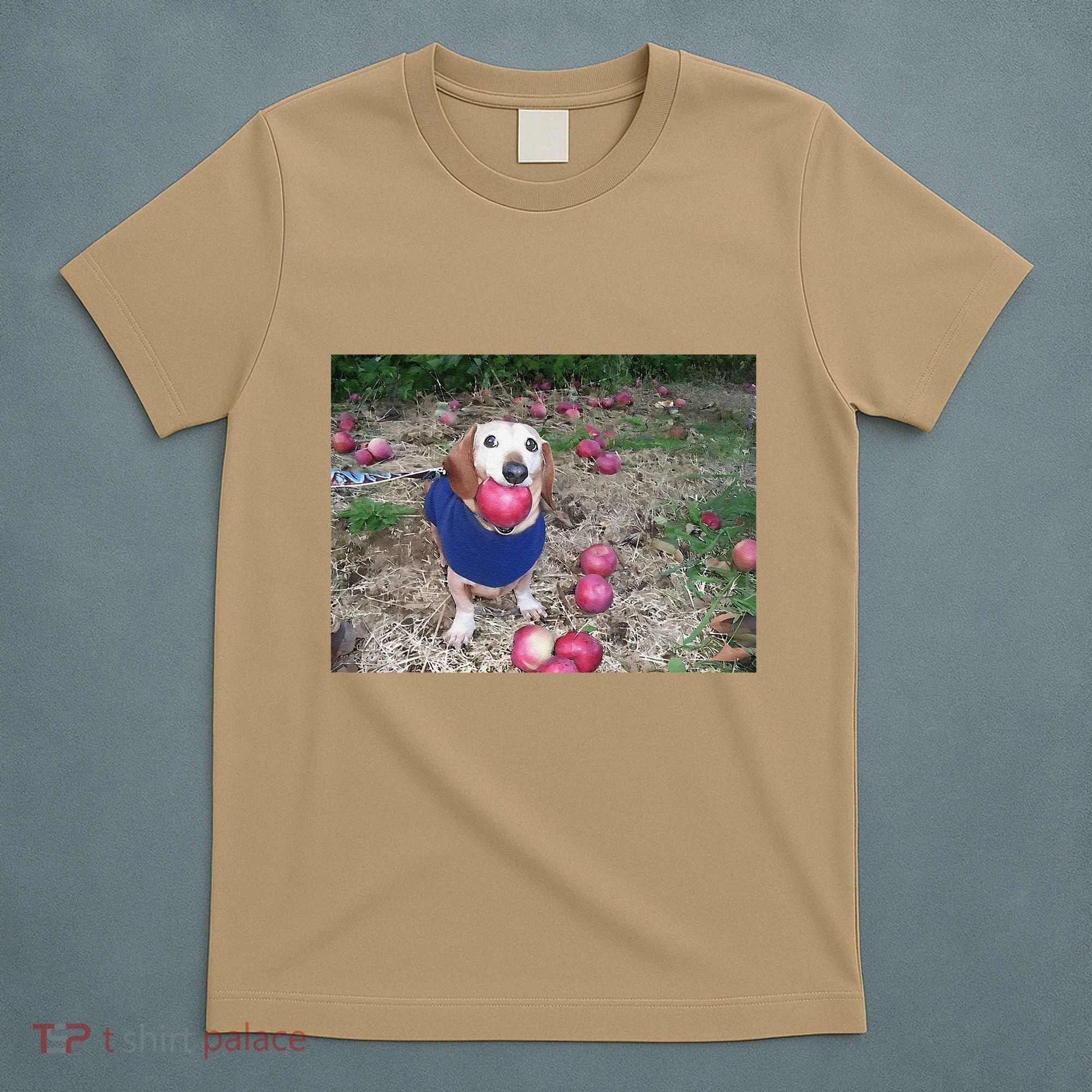 Apple Dog Meme Funny Dog With Apple In Mouth Funny Brainrot T-Shirt