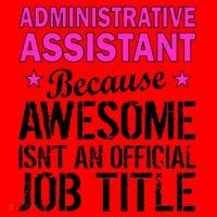 Administrative Assistant Awesome Job Title Santa Hat thumb 1