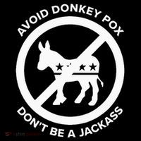 Avoid Donkey Pox DonT Be A Jackass Women's Hoodie thumb 2
