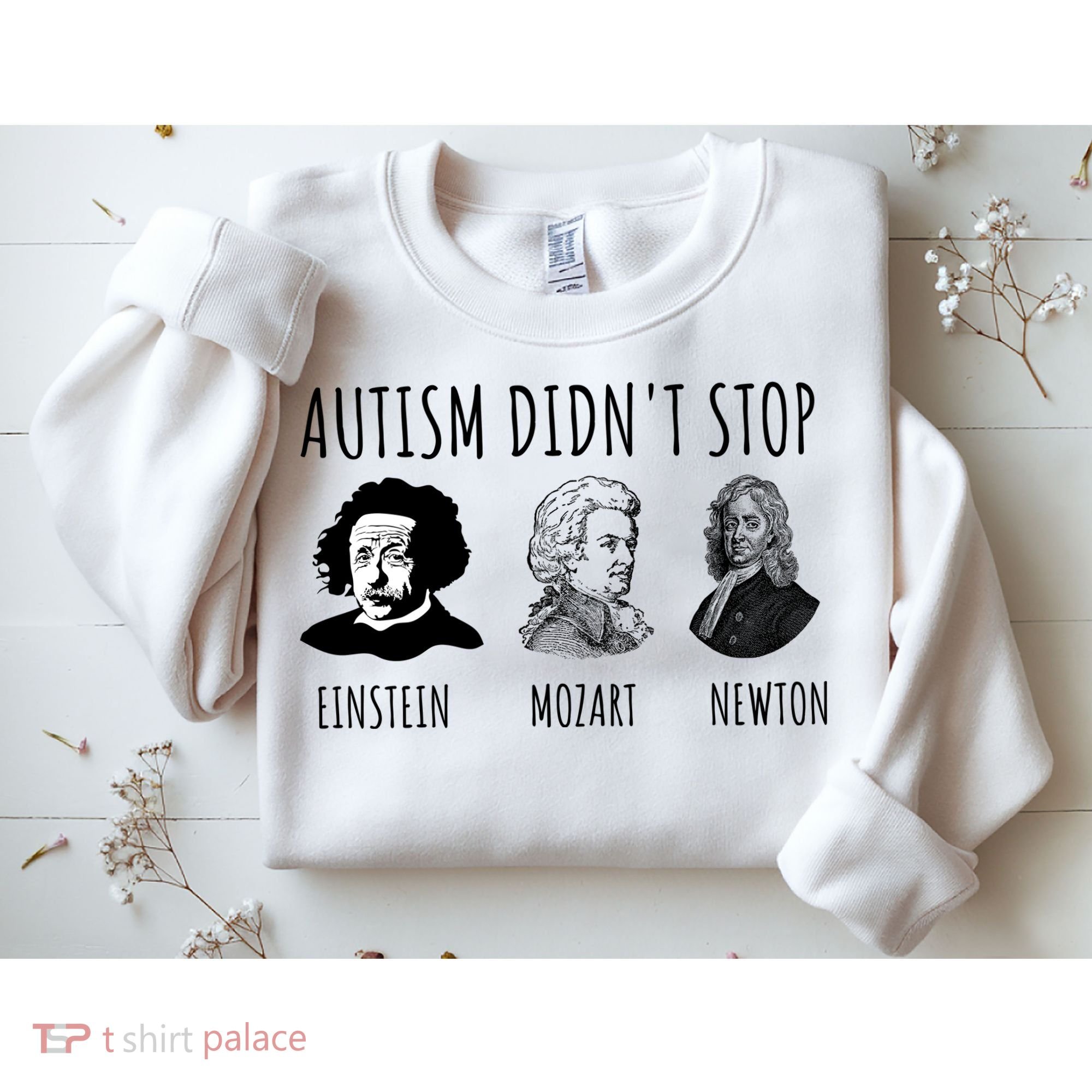 Autism Didn't Stop Einstein Mozart Newton Inspirational Autism Awareness Month Sweatshirt