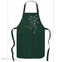 Anomaly Detected SLS Ghost Hunting Funny Paranormal Apron thumb 0