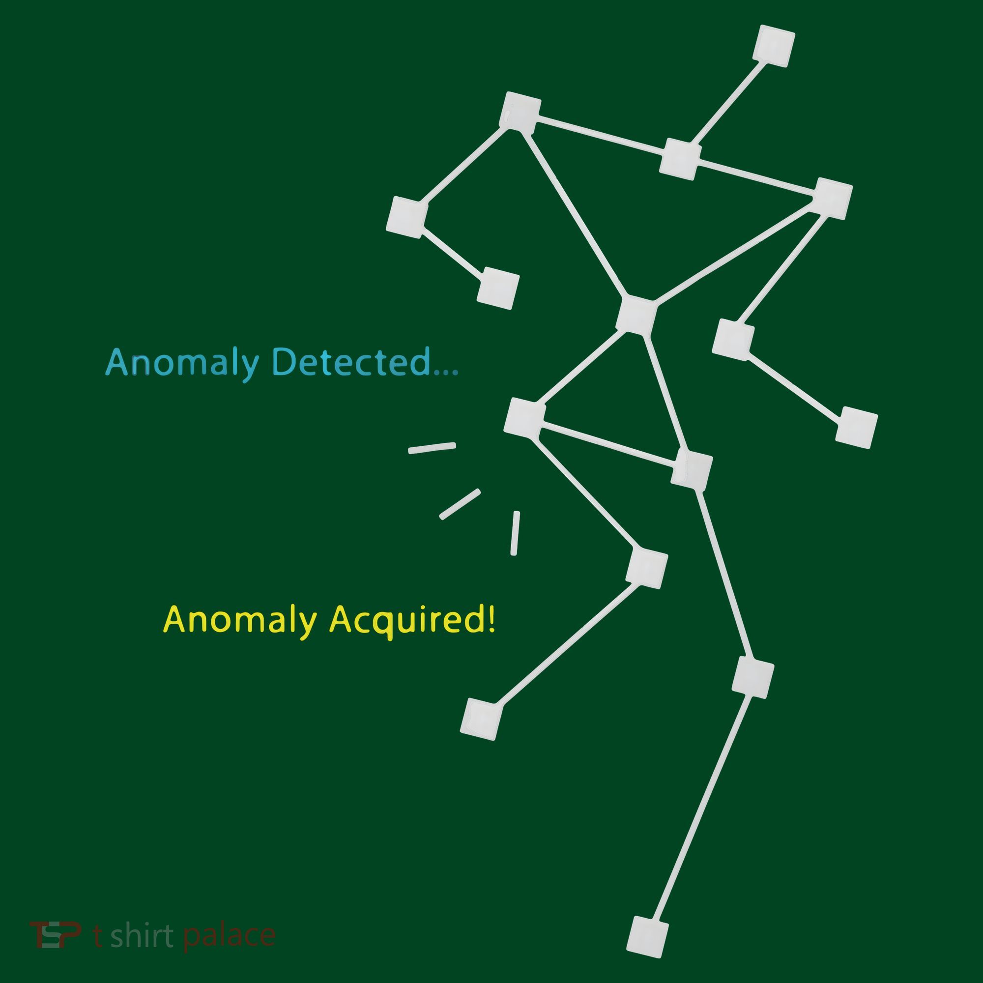Anomaly Detected SLS Ghost Hunting Funny Paranormal Women's T-Shirt