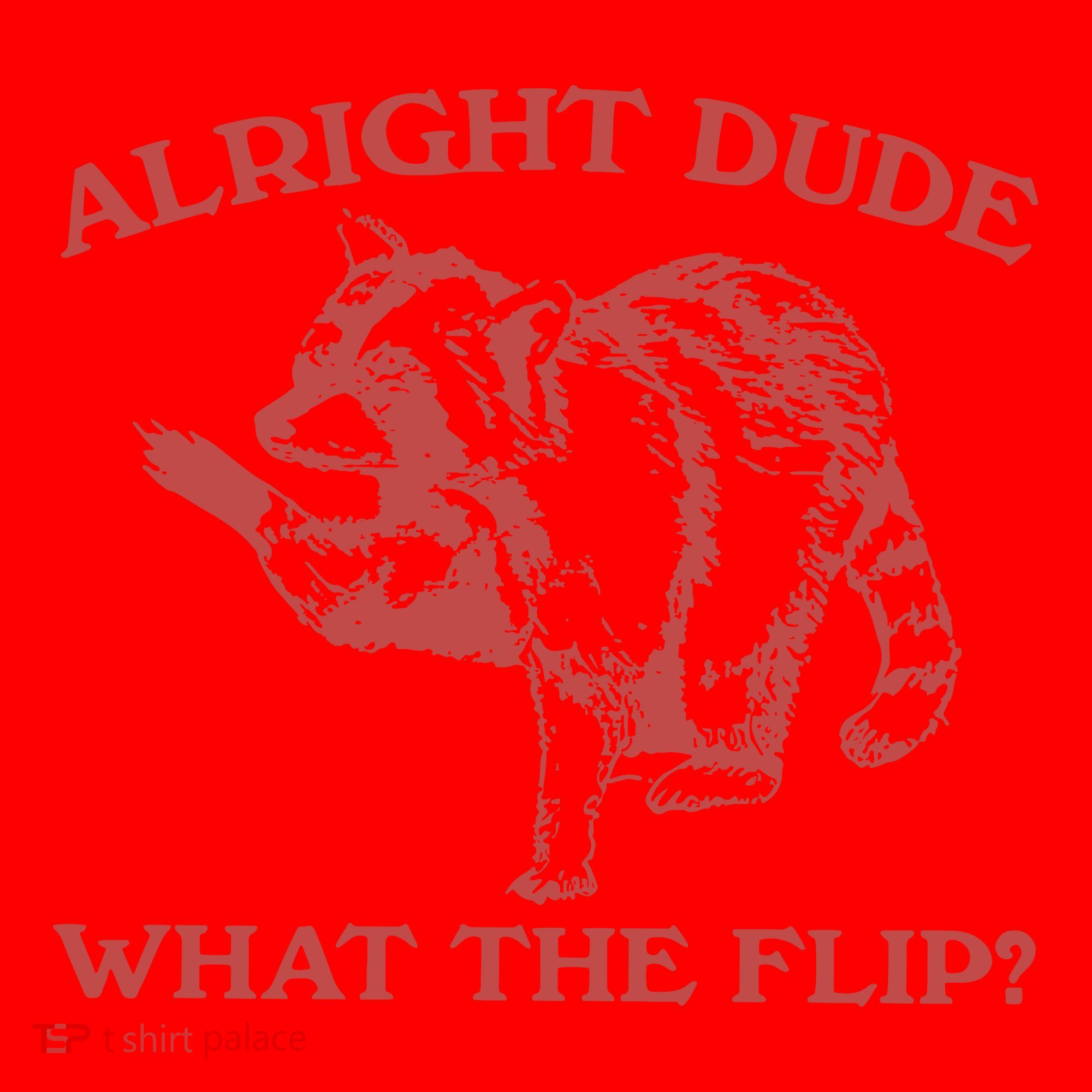 Alright Dude What The Flip Santa Hat