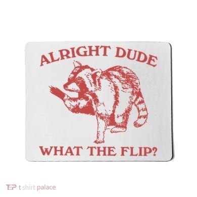 Alright Dude What The Flip Mousepad
