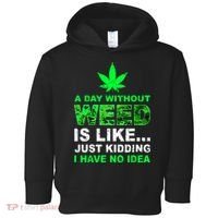 A Day Without Weed Funny Marijuana Cannabis Weed Pot 420 Toddler Hoodie thumb 0