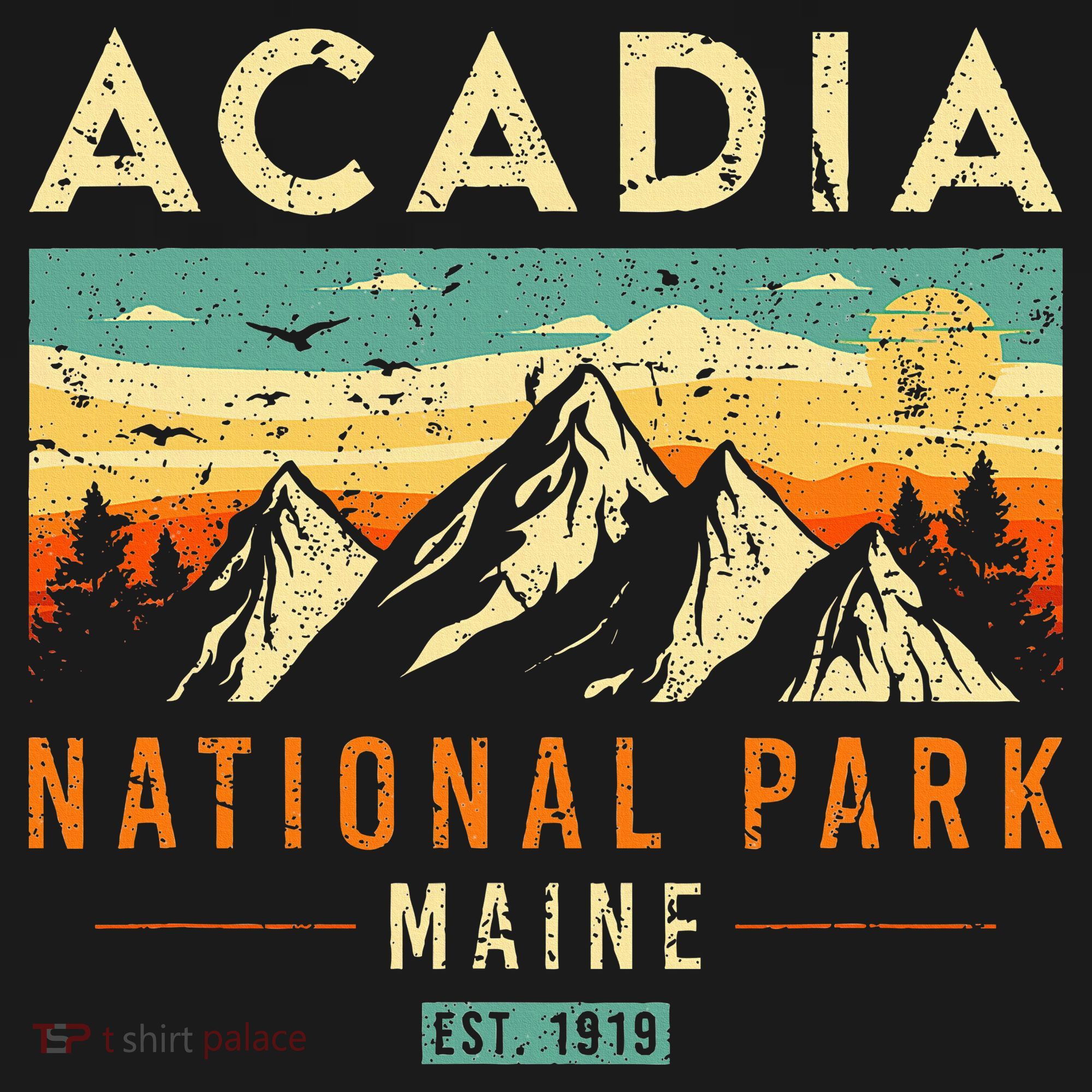 Acadia Est. 1919 Vintage Retro Maine National Park T-Shirt