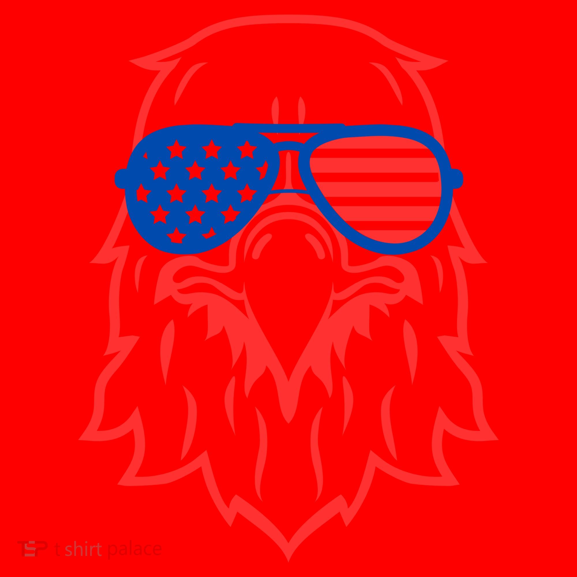 American Eagle 4th Of July Festive Santa Hat