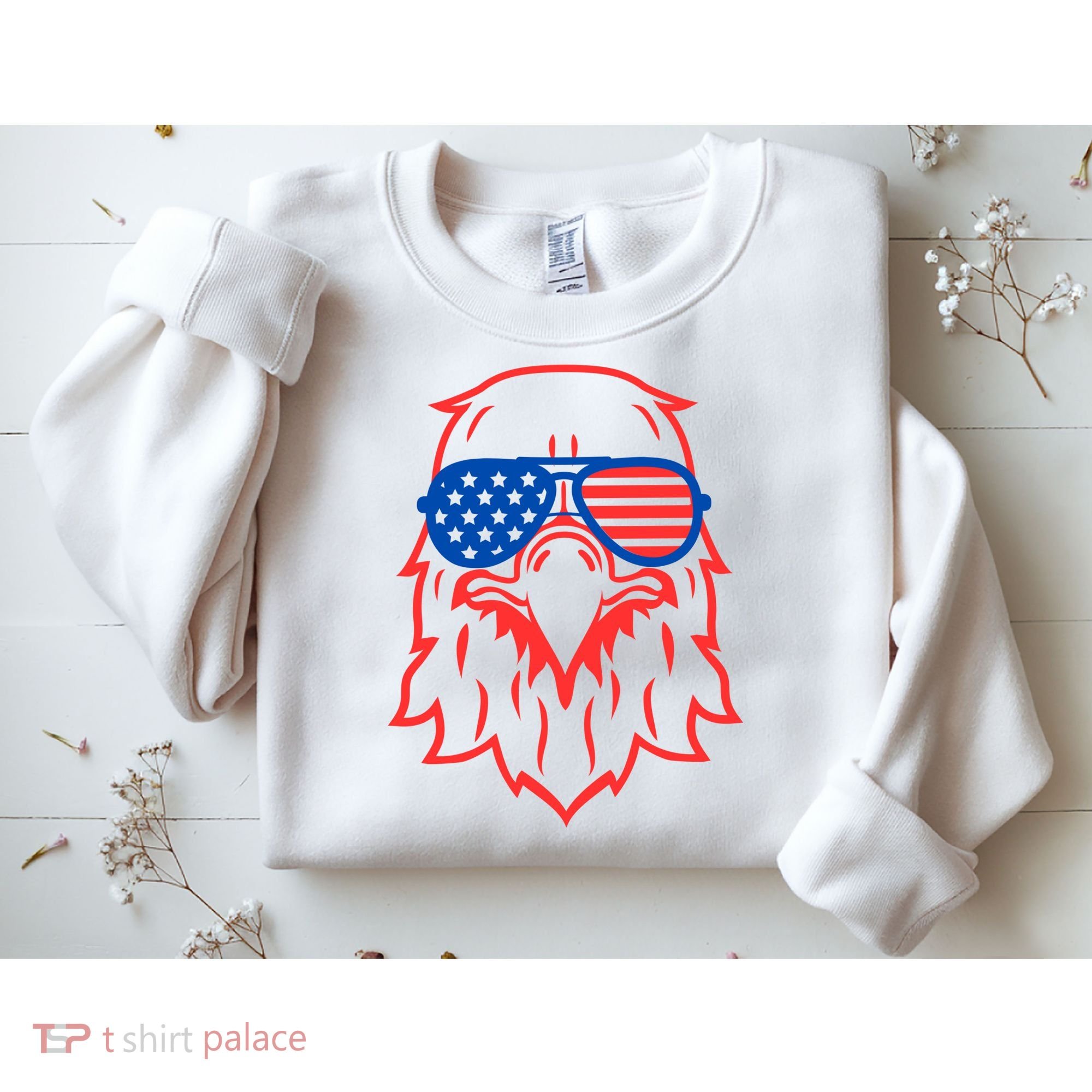 American Eagle 4th Of July Festive Sweatshirt