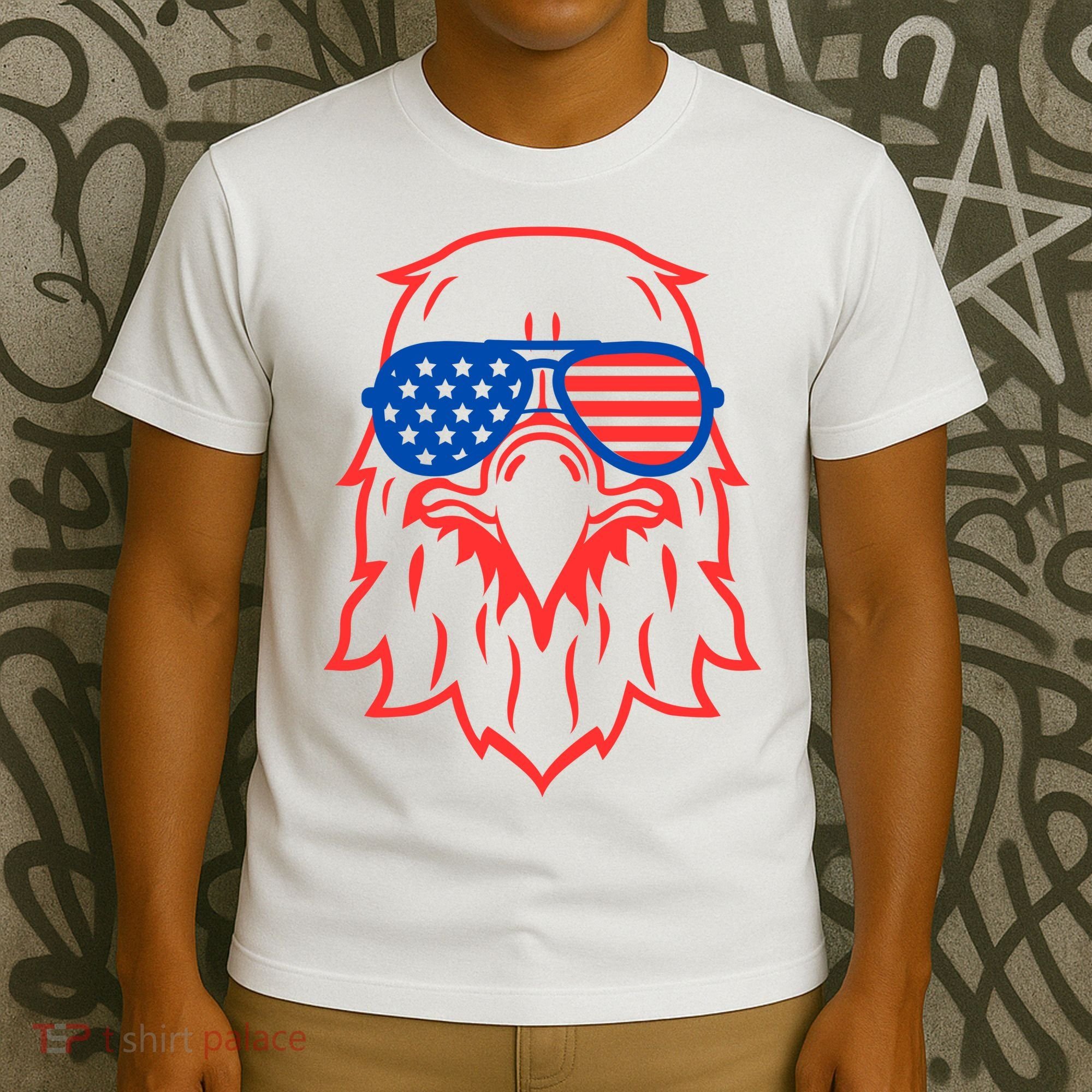 American Eagle 4th Of July Festive T-Shirt