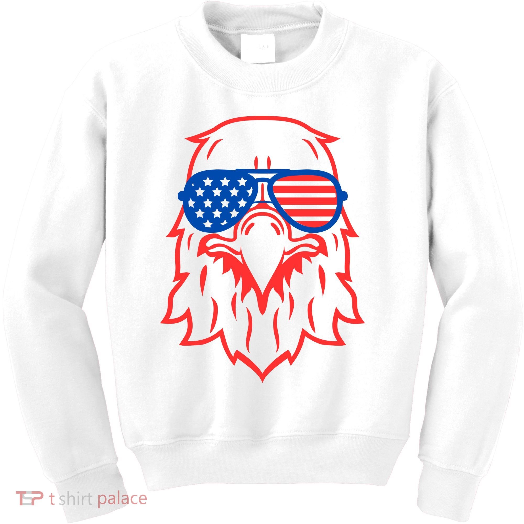 American Eagle 4th Of July Festive Kids Sweatshirt
