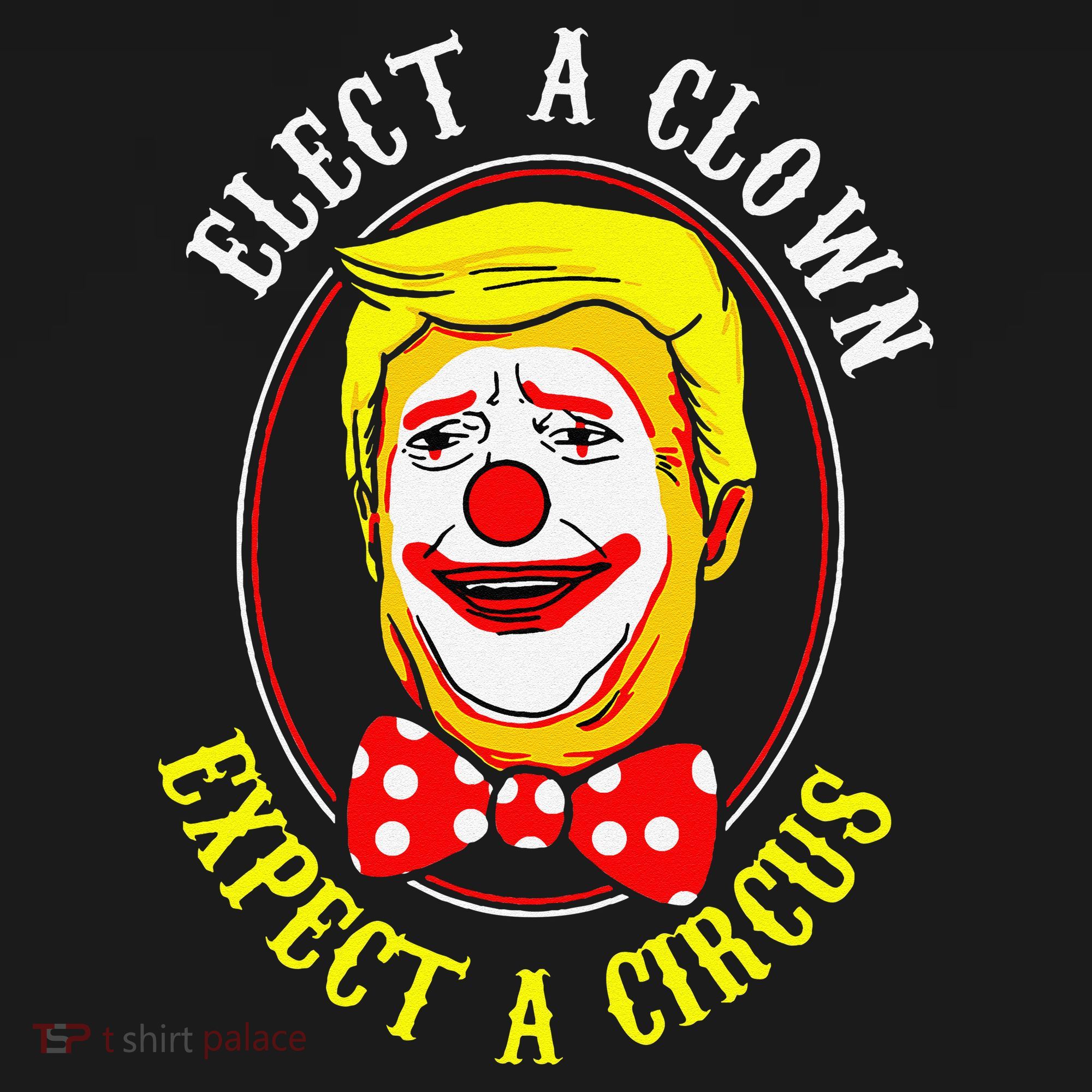 Anti-Trump Elect A Clown Expect A Circus Resist Protest Women's Hoodie