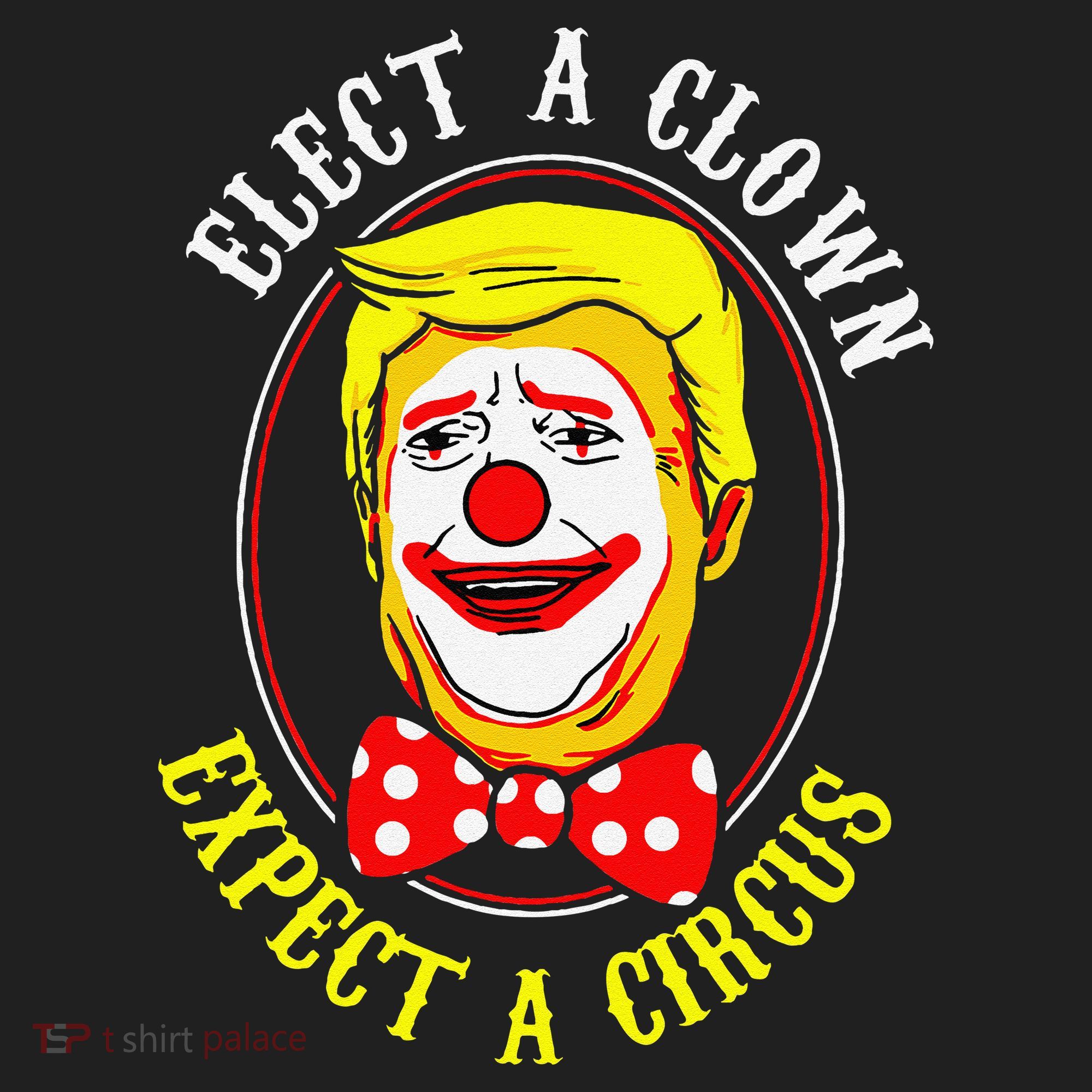 Anti-Trump Elect A Clown Expect A Circus Resist Protest Hat