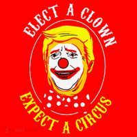 Anti-Trump Elect A Clown Expect A Circus Resist Protest Santa Hat thumb 1