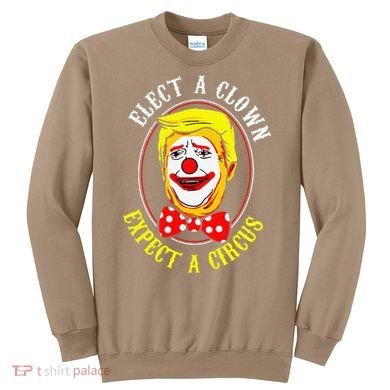 Anti-Trump Elect A Clown Expect A Circus Resist Protest Sweatshirt