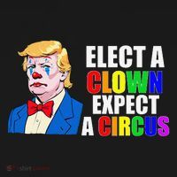 Anti-Trump Elect A Clown Expect A Circus Resist Protest Women's Hoodie thumb 2