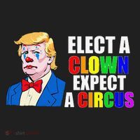 Anti-Trump Elect A Clown Expect A Circus Resist Protest Hat thumb 2