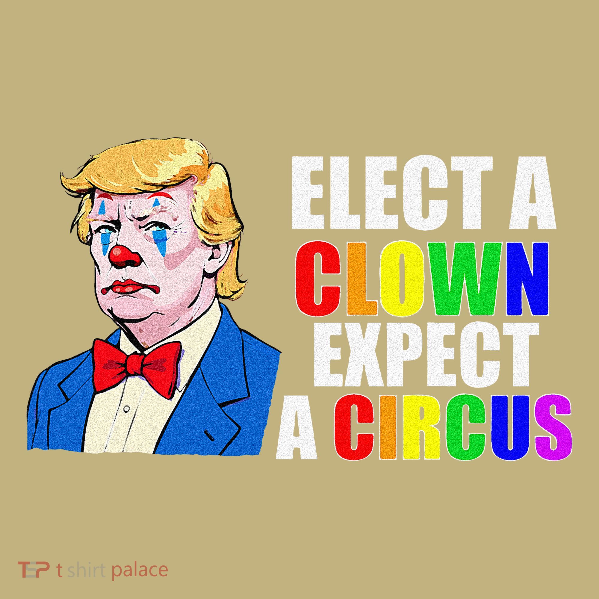 Anti-Trump Elect A Clown Expect A Circus Resist Protest Hoodie