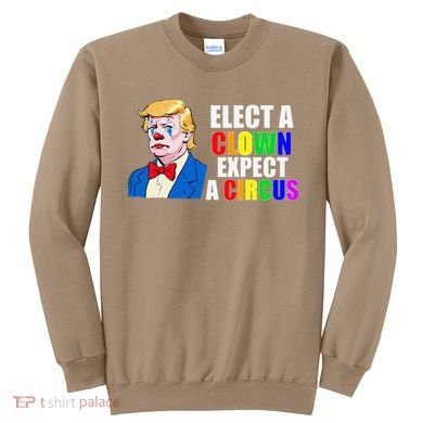 Anti-Trump Elect A Clown Expect A Circus Resist Protest Sweatshirt