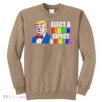 Anti-Trump Elect A Clown Expect A Circus Resist Protest Sweatshirt thumb 0