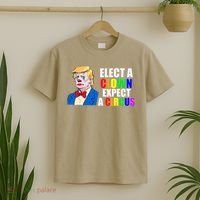 Anti-Trump Elect A Clown Expect A Circus Resist Protest T-Shirt thumb 2