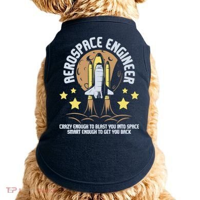 Aerospace Engineer Aeronautical Engineering Spacecrafts Doggie Tank