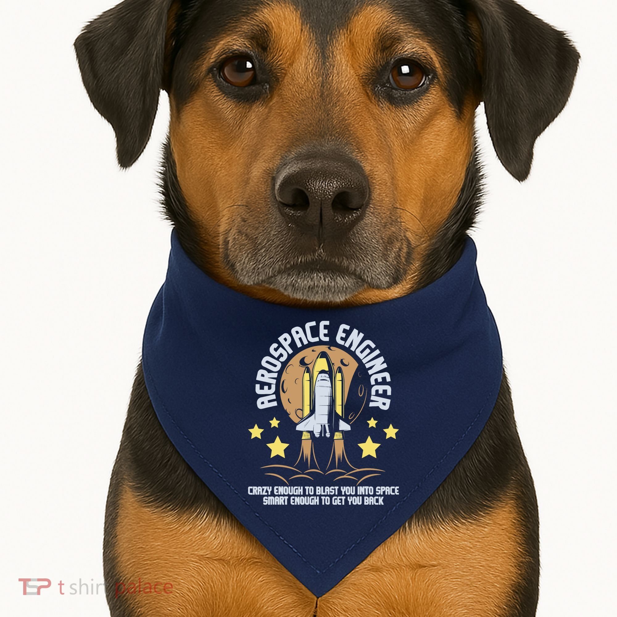 Aerospace Engineer Aeronautical Engineering Spacecrafts USA-Made Doggie Bandana
