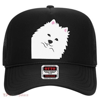 American Eskimo Dog Peeking From Side Cute American Eskimo Hat