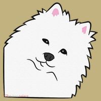 American Eskimo Dog Peeking From Side Cute American Eskimo T-Shirt thumb 7