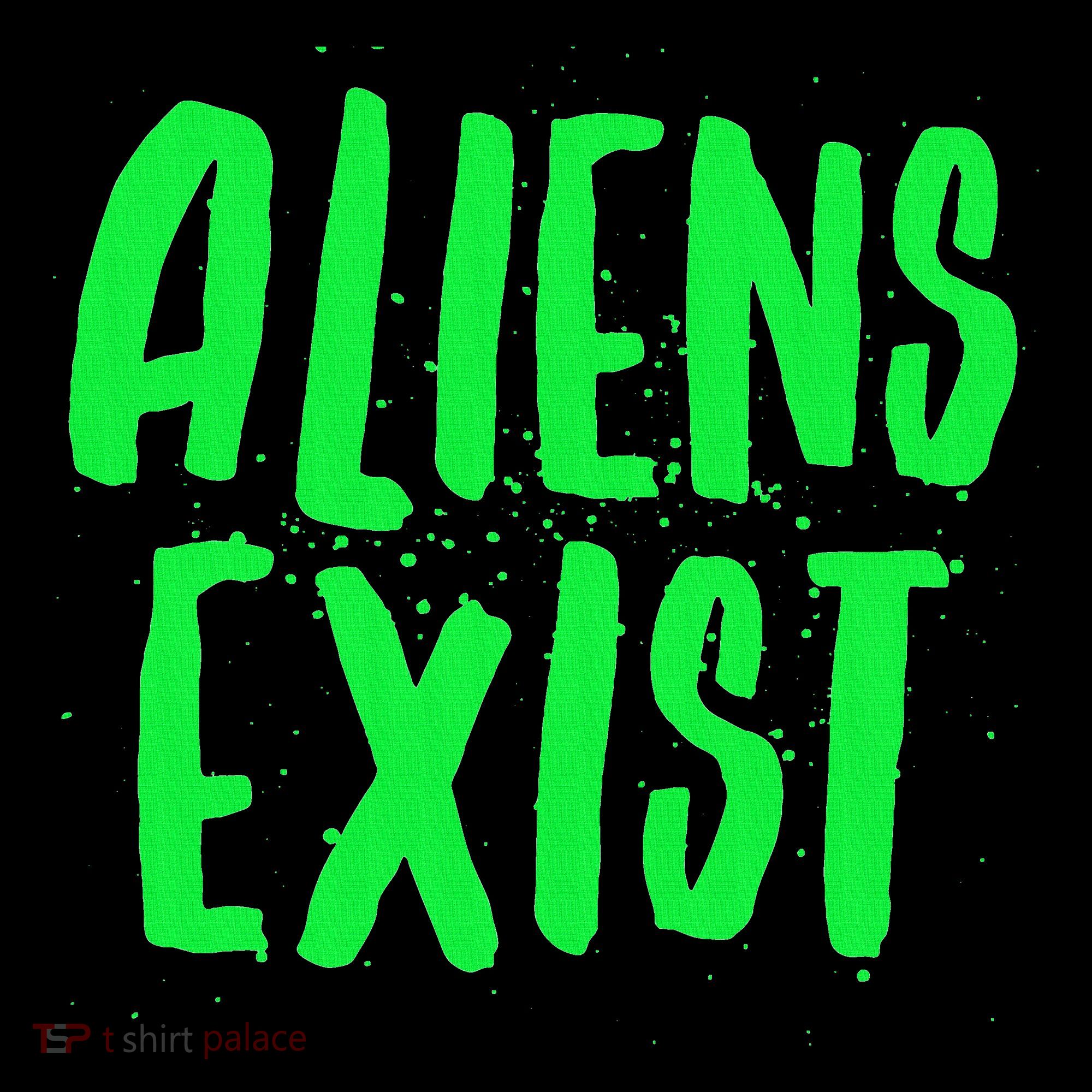 Aliens Exist Funny Alien Sweatshirt