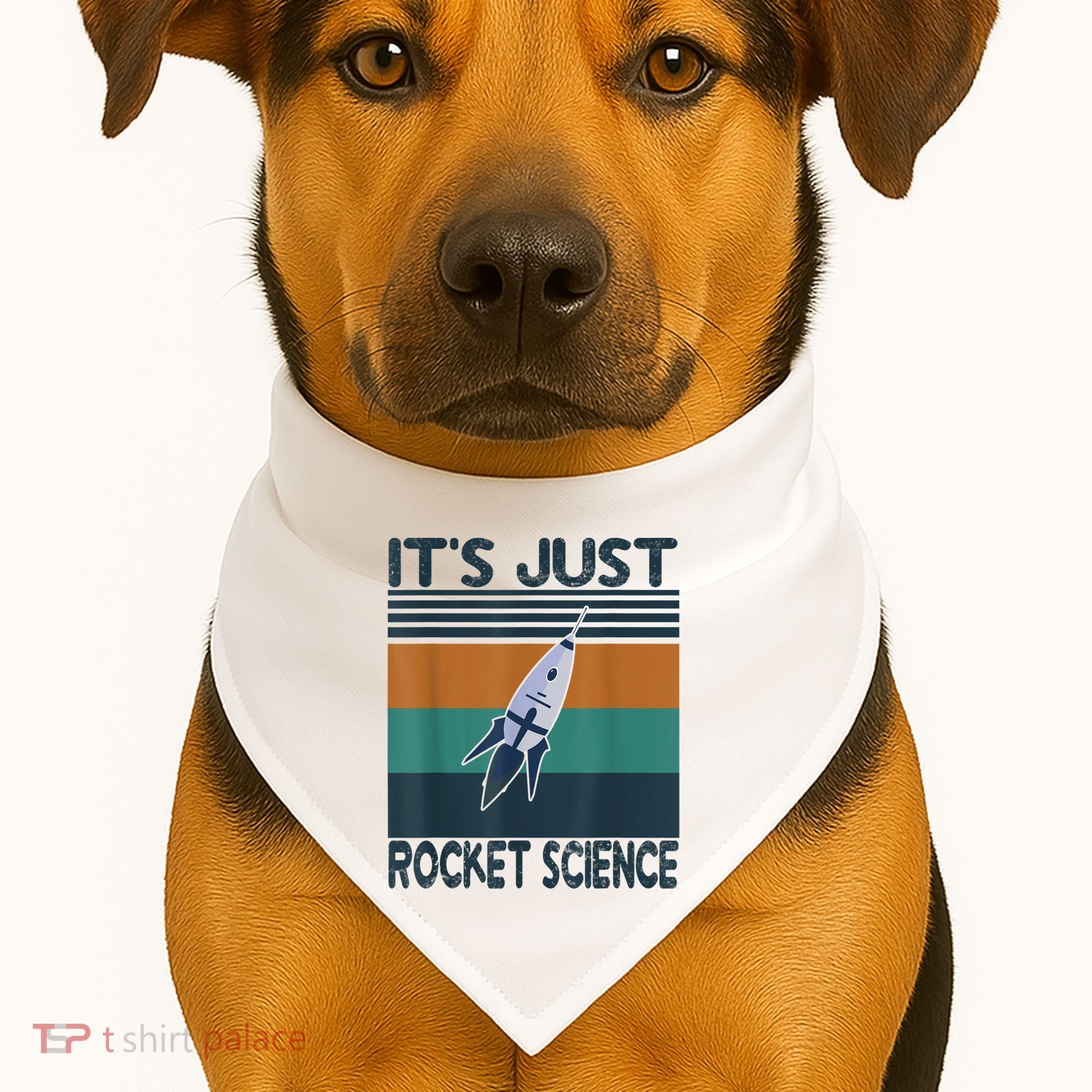 Aerospace Engineering Gifts It's Just Rocket Science Space USA-Made Doggie Bandana
