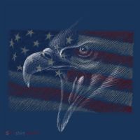 American Eagle Illustration Art Long Sleeve Shirt thumb 2