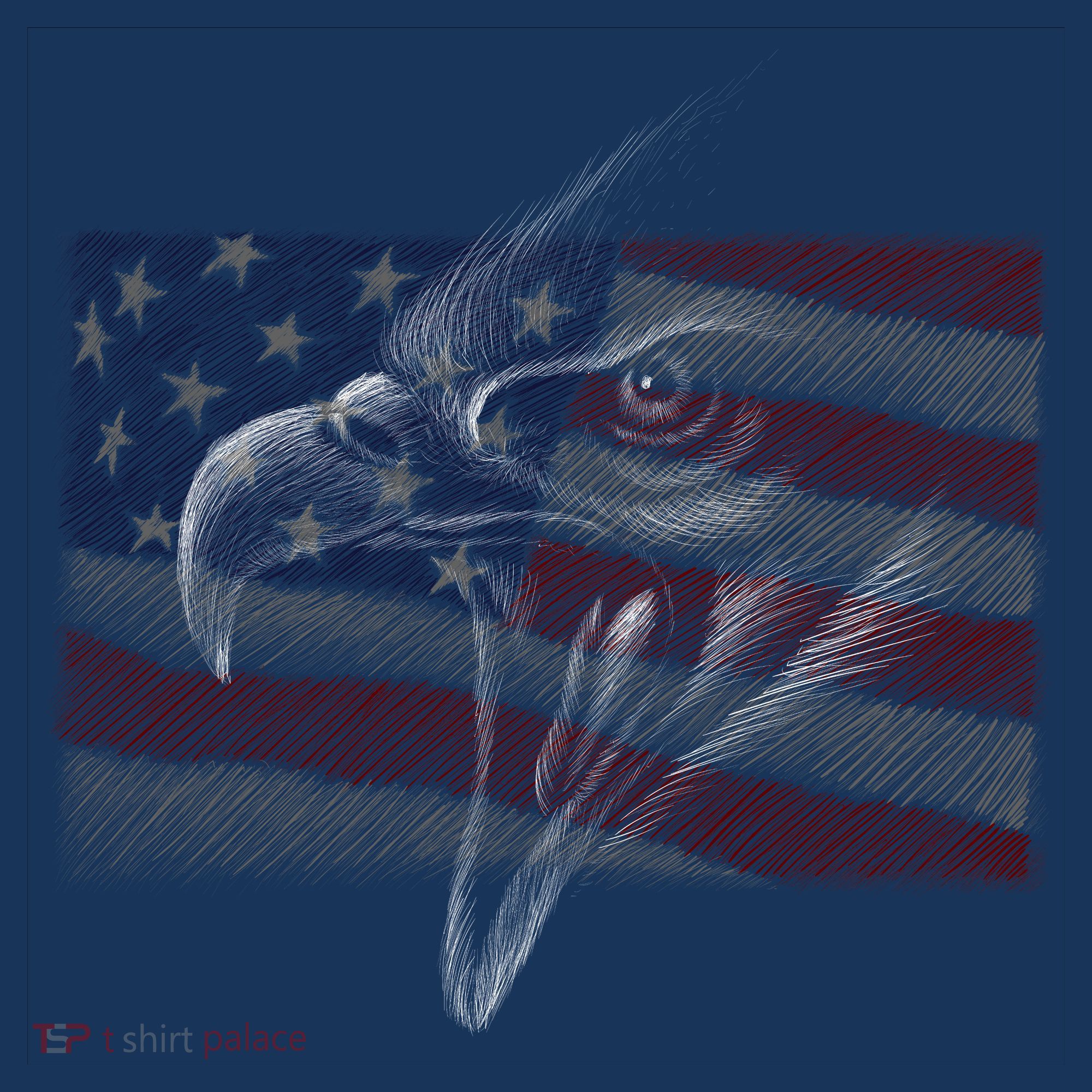 American Eagle Illustration Art Long Sleeve Shirt