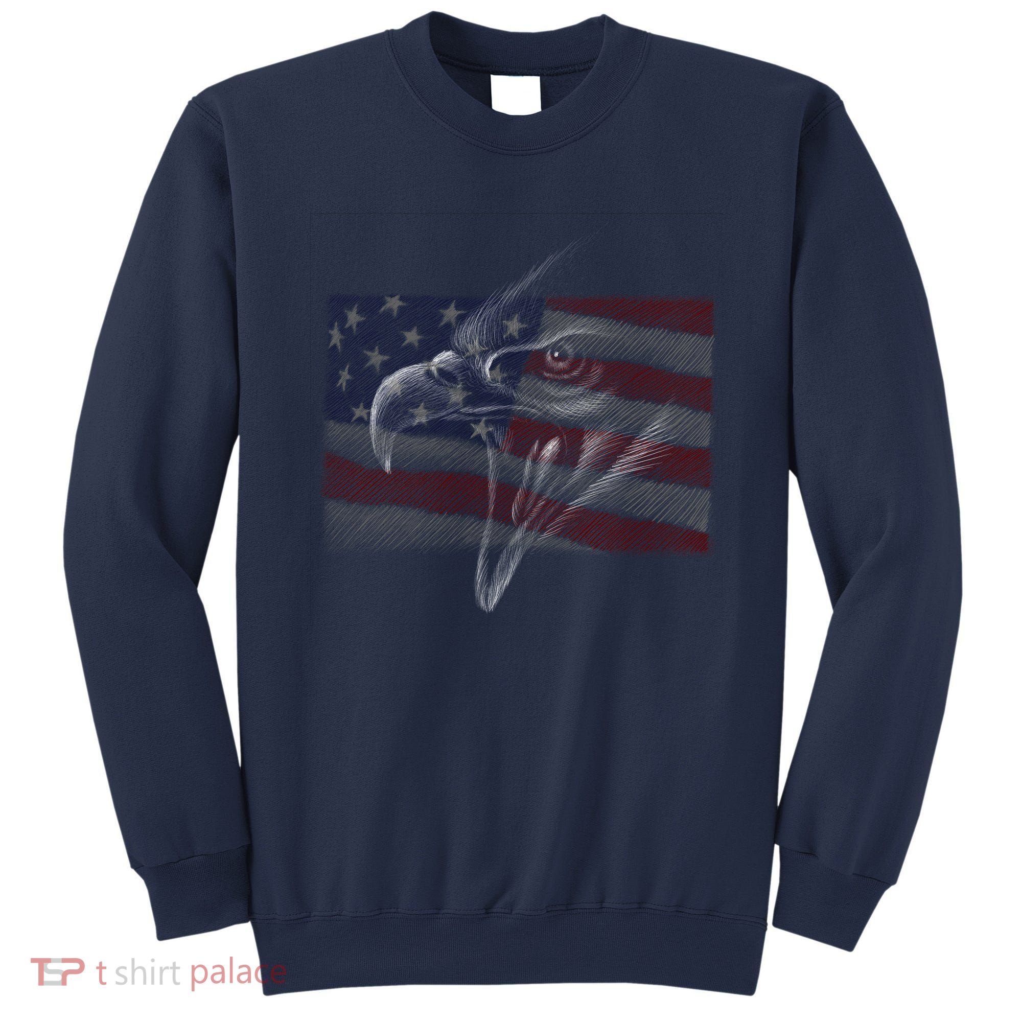 American Eagle Illustration Art Sweatshirt
