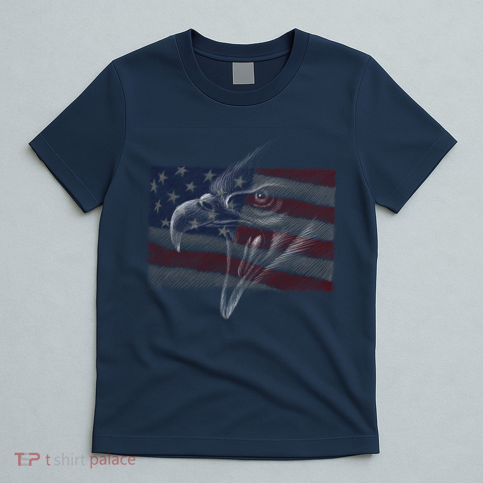 American Eagle Illustration Art T-Shirt