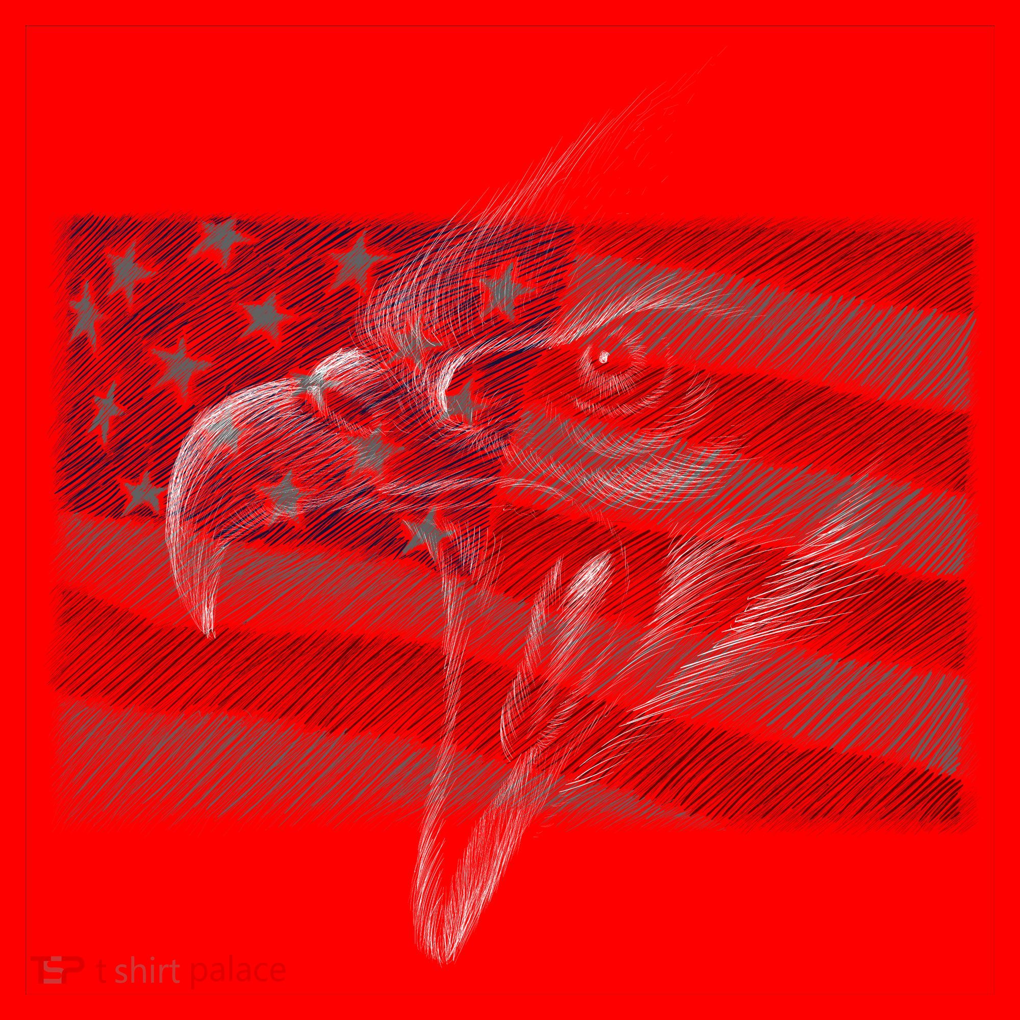 American Eagle Illustration Art Santa Hat