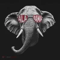 Alabama Elephant Lovers Bucket Hat thumb 4