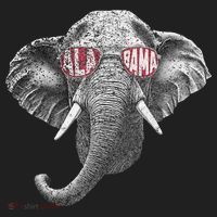 Alabama Elephant Lovers Tumbler thumb 3