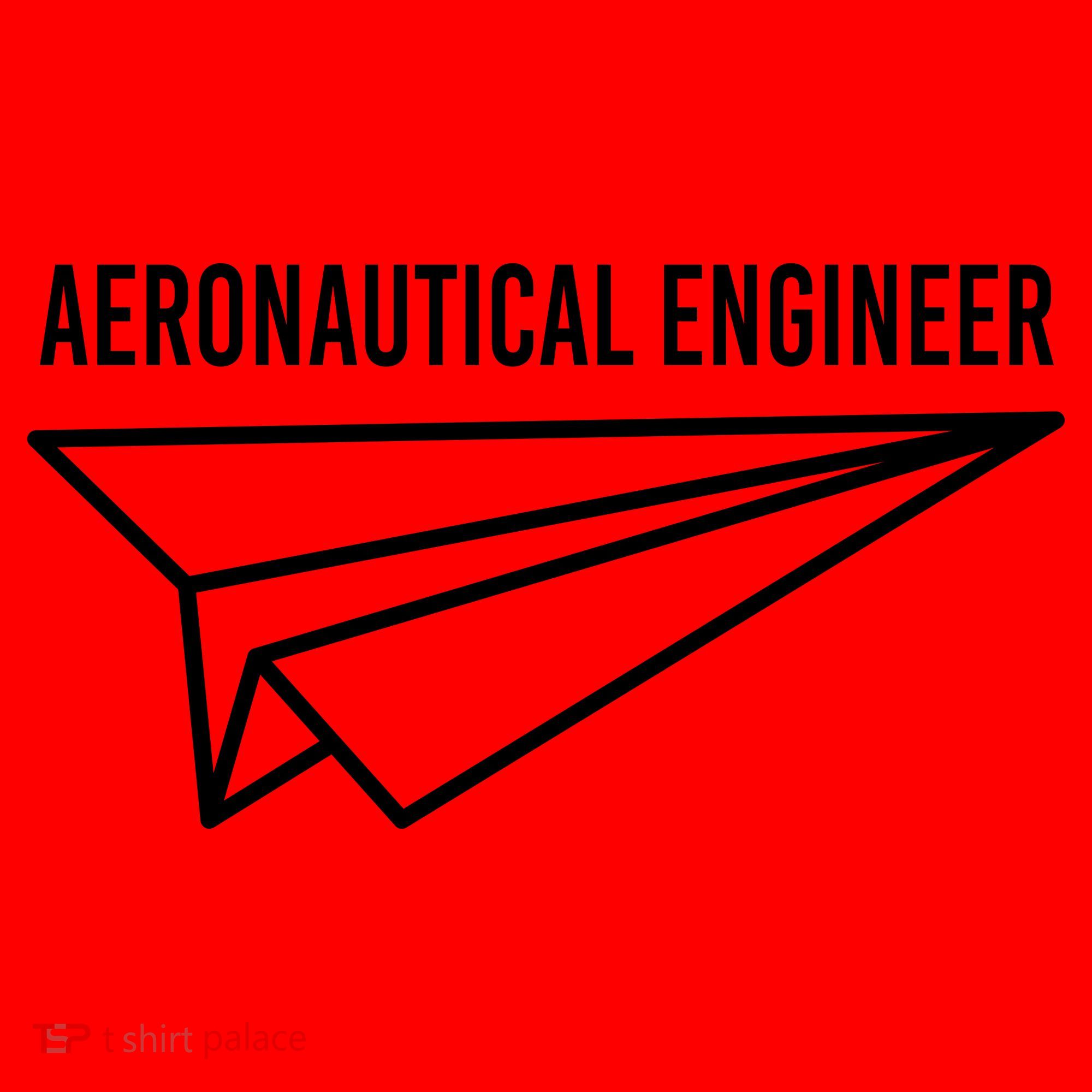 Aeronautical Engineer Santa Hat