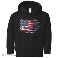 Air Force 250 Years USA Flag 250th Anniversary  Toddler Hoodie thumb 0