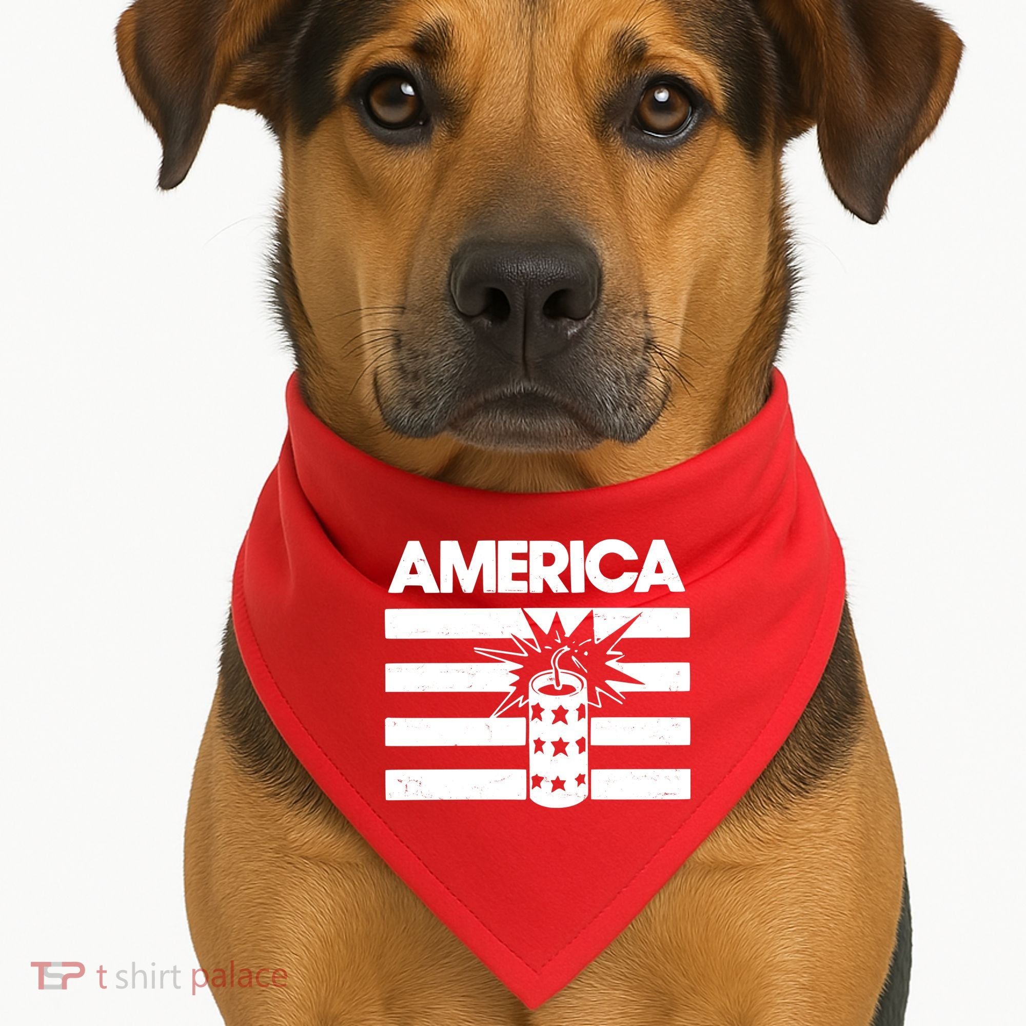 America Firework 4th Of July Flag USA-Made Doggie Bandana