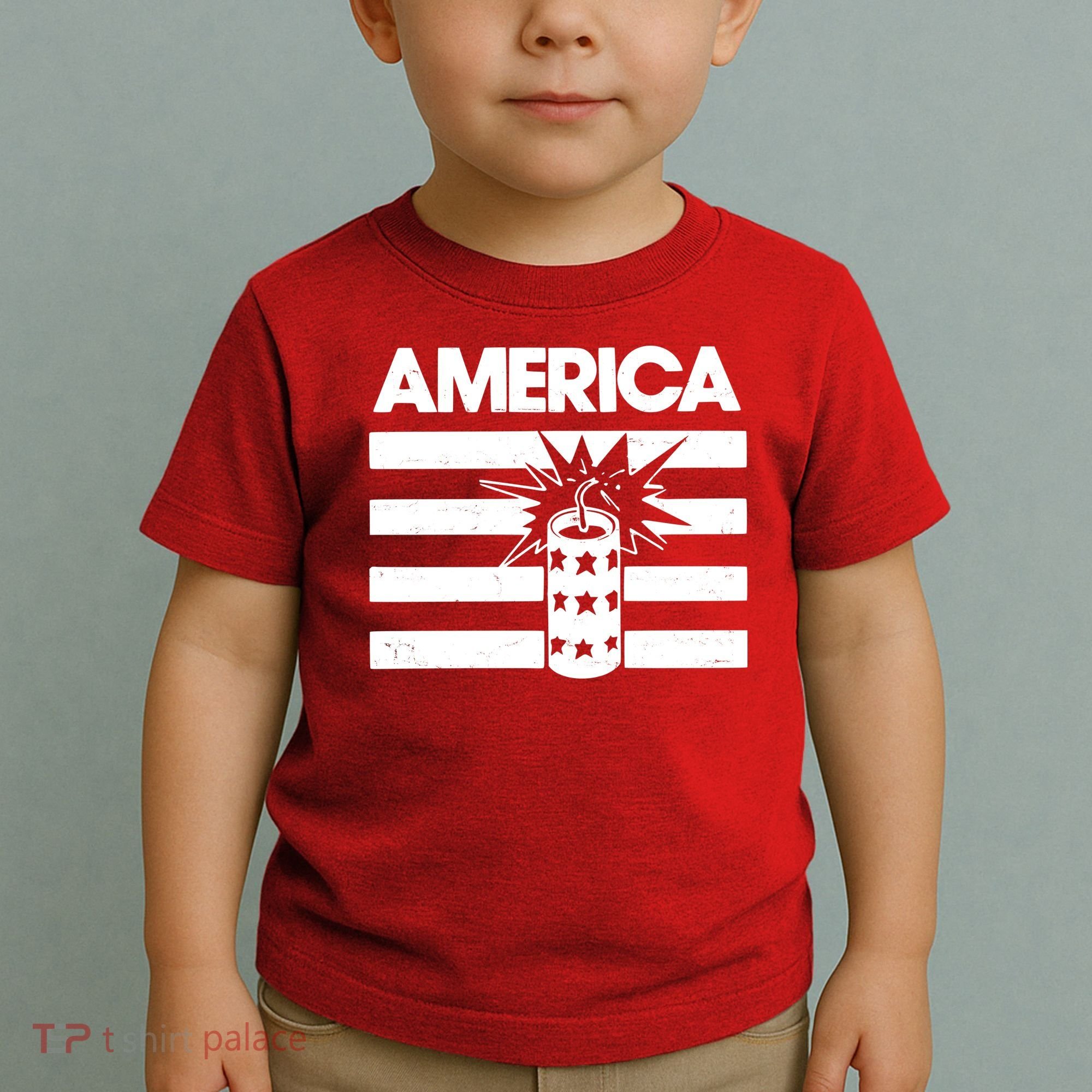 America Firework 4th Of July Flag Toddler T-Shirt