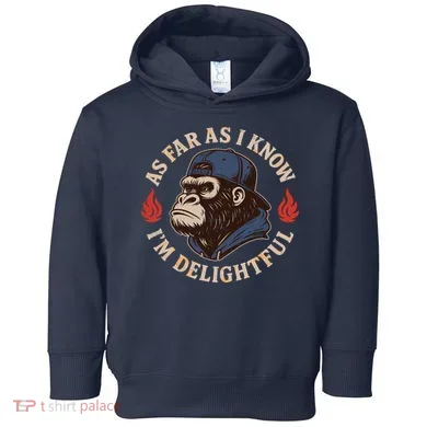 Toddler Hoodie