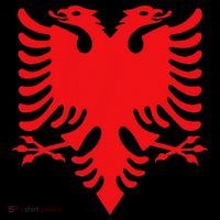 Albania Flag Albanian Eagle Kids Sweatshirt thumb 2
