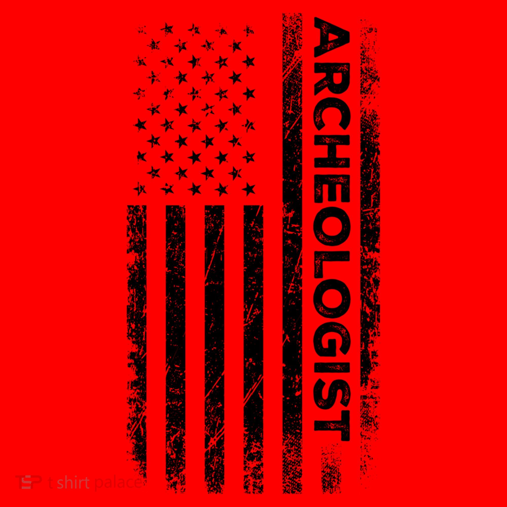 American Flag Archaeologist Funny Archaeology Gift Santa Hat