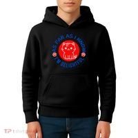 As Far As I Know Im Delightful Cute Kitty Owner Humor Kids Hoodie thumb 4