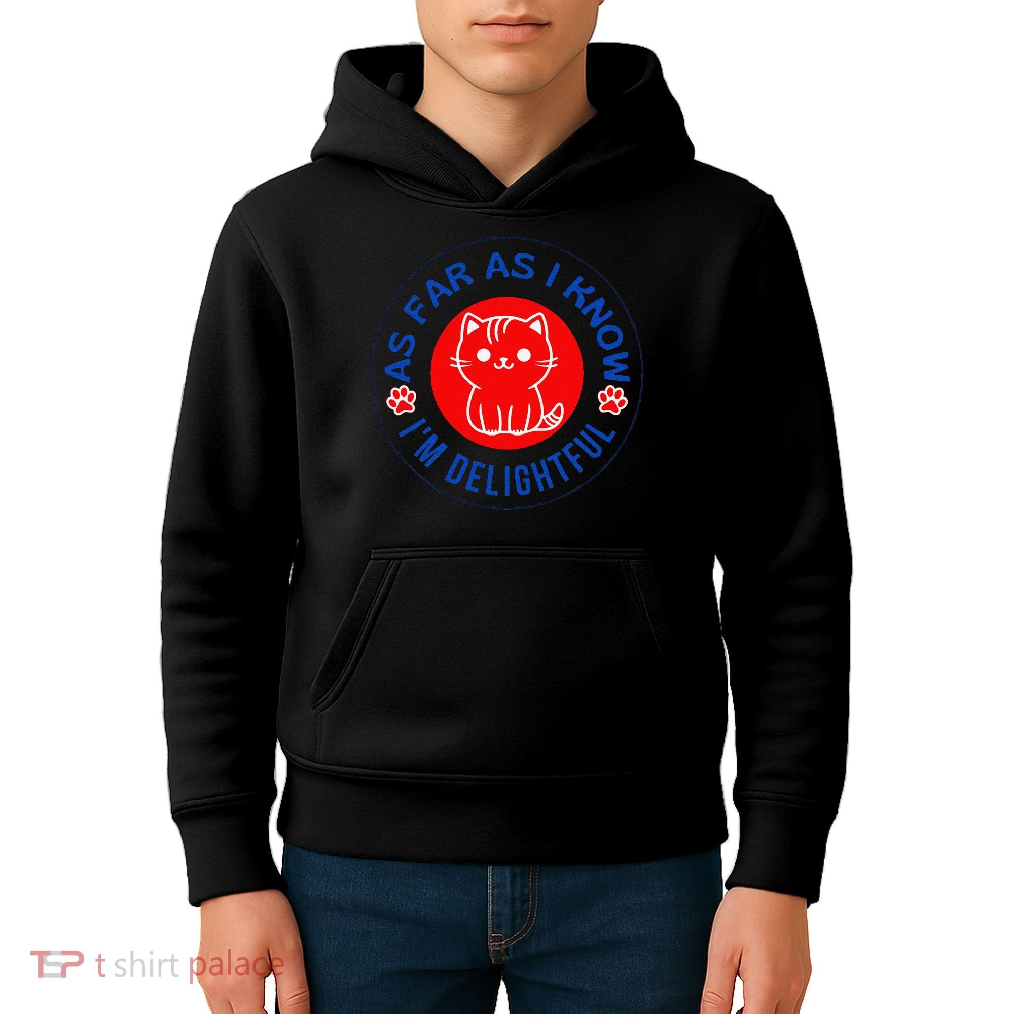 As Far As I Know Im Delightful Cute Kitty Owner Humor Kids Hoodie