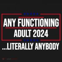 Any Functioning Adult 2024 Literally Anybody Funny Election Toddler Hoodie thumb 2
