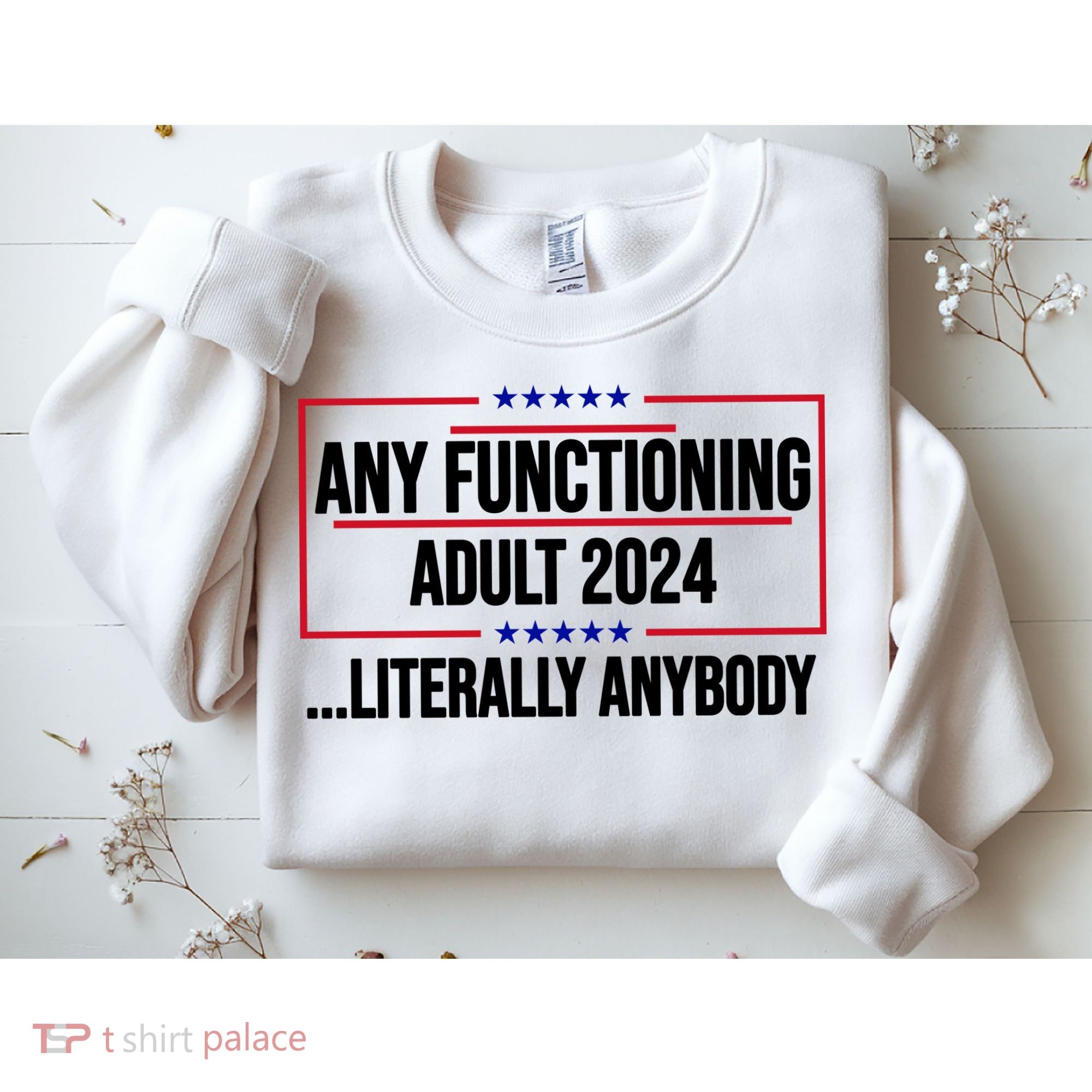 Any Functioning Adult 2024 Literally Anybody Funny Election Sweatshirt