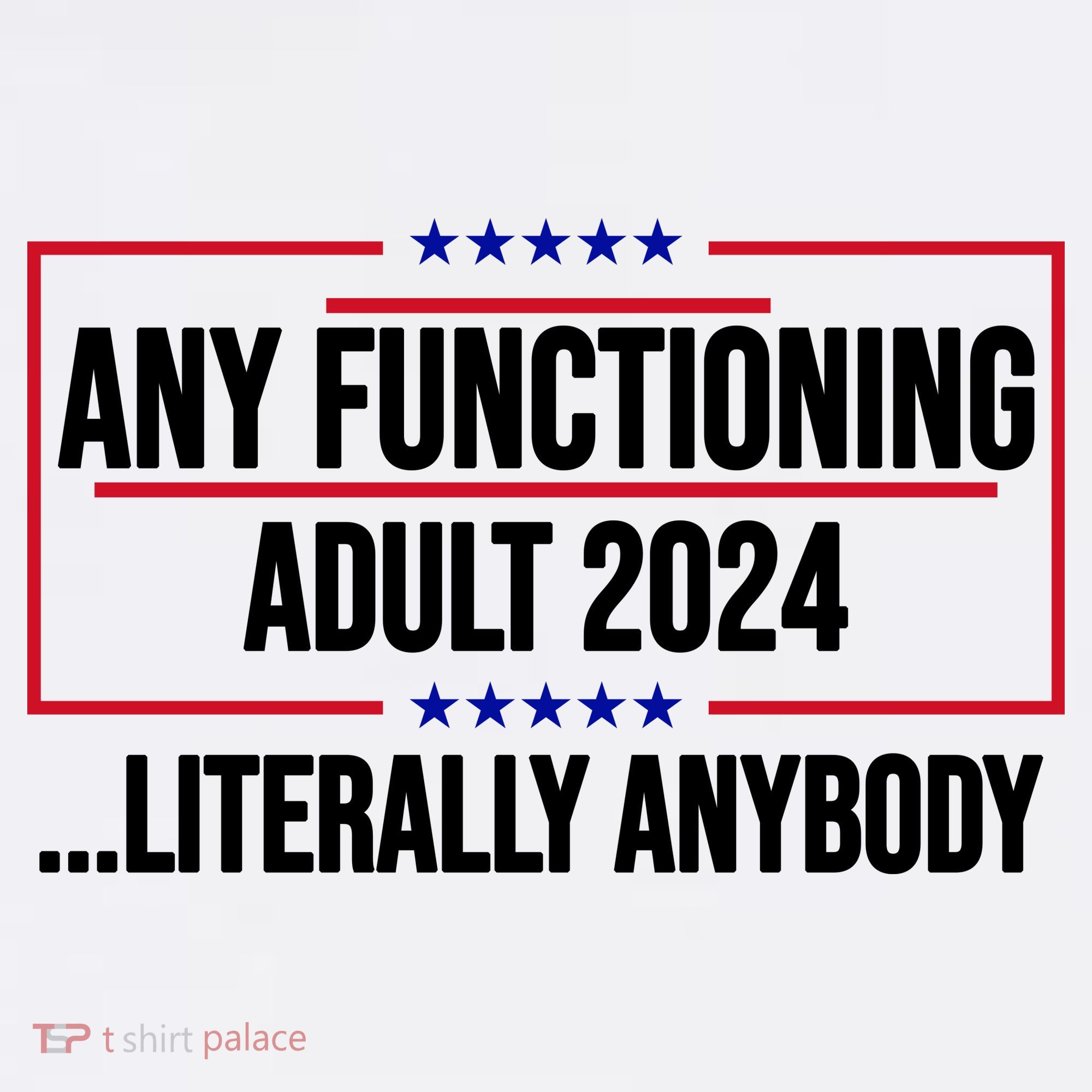 Any Functioning Adult 2024 Literally Anybody Funny Election T-Shirt